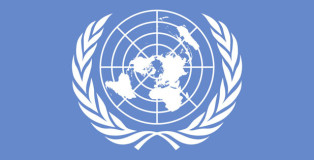 trabajar en la ONU